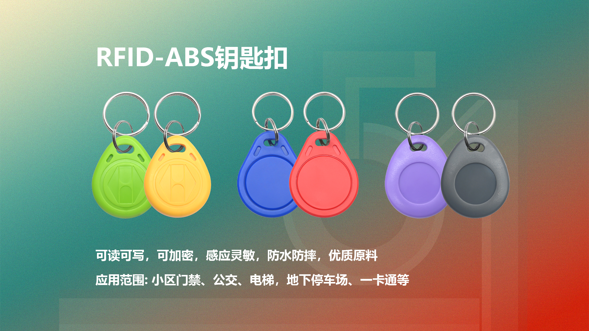 微信圖片_20250429185544