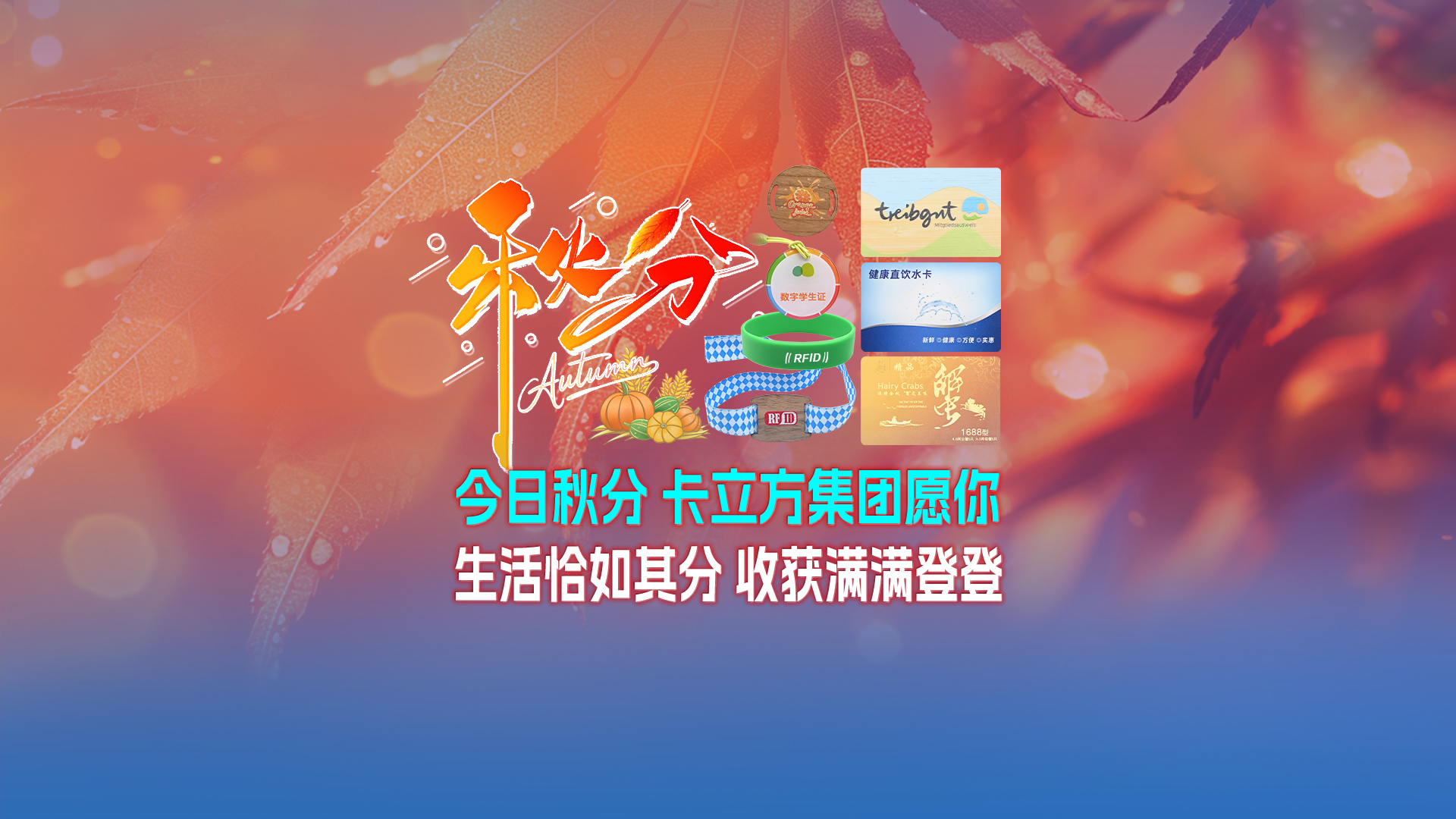 秋分至，卡立方集團智能卡工廠以RFID多元化物聯網產品科技賦能萬物互聯