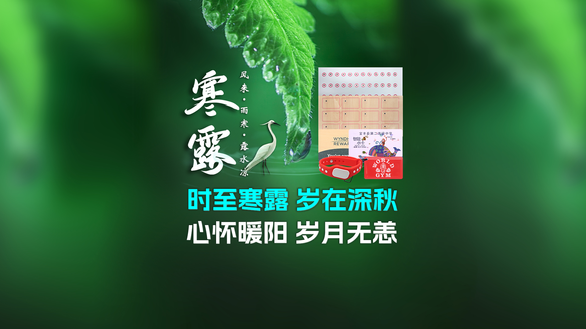 寒露至秋意濃，卡立方集團攜RFID智能卡中料木卡腕帶伴您暖度深秋
